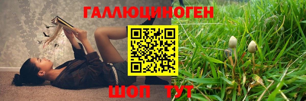 Мелеуз  Галлюциногенные грибы мухоморы  Вход с VPN 